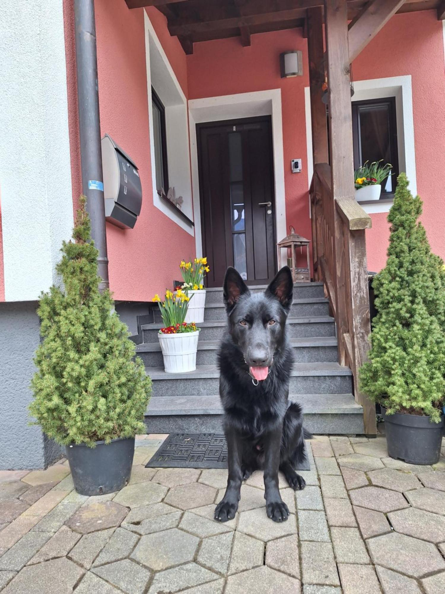 Haus Hoell Herta Hallstatt Exterior photo